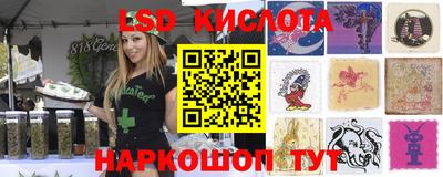 спиды Можга