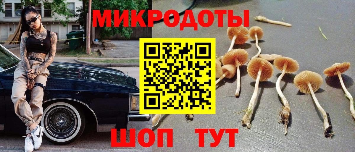 Галлюциногенные грибы ЛСД Слободской