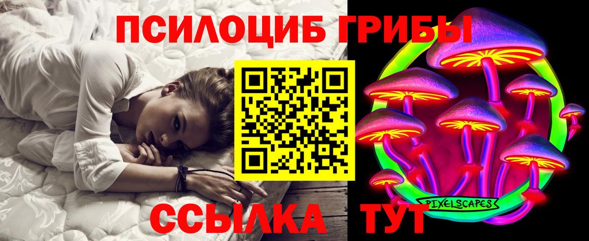 Галлюциногенные грибы Psilocybe  Вход с VPN  Слободской  Псилоцибиновые грибы мухоморы 